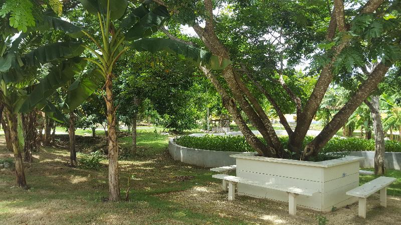 Oasis Resort Negril Extérieur photo